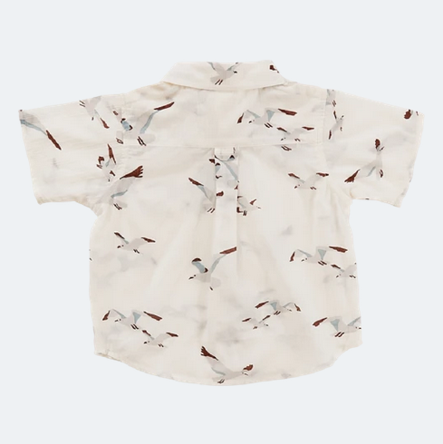 Pink Chicken Jack Shirt - Seagulls