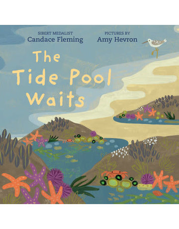 Penguin Random House The Tide Pool Waits