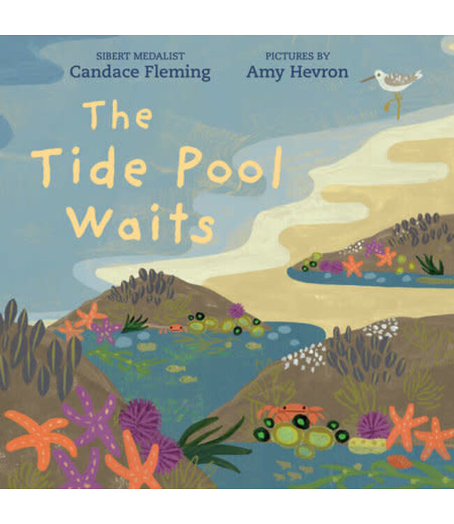 Penguin Random House The Tide Pool Waits