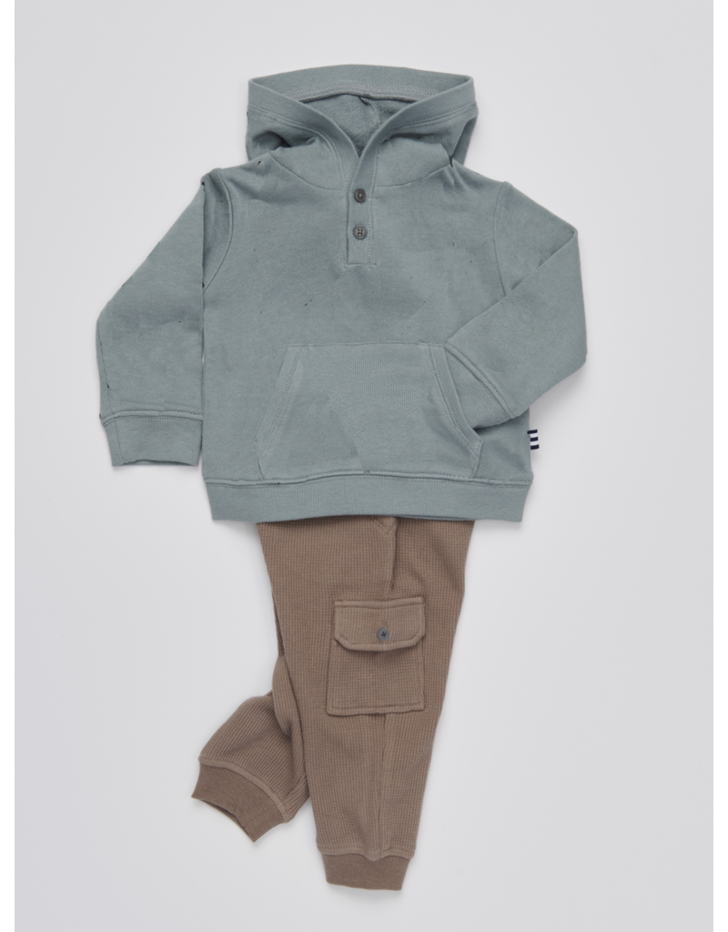 Silver Sage Hood Set Fiddlesticks