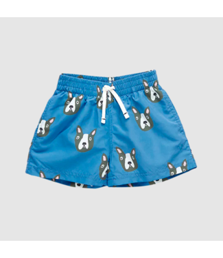 Pink Chicken Baby Swim Shorts - Boston Terrier