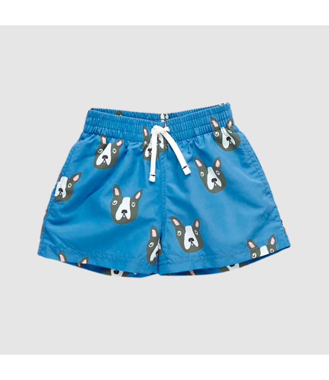 Pink Chicken Baby Swim Shorts - Boston Terrier