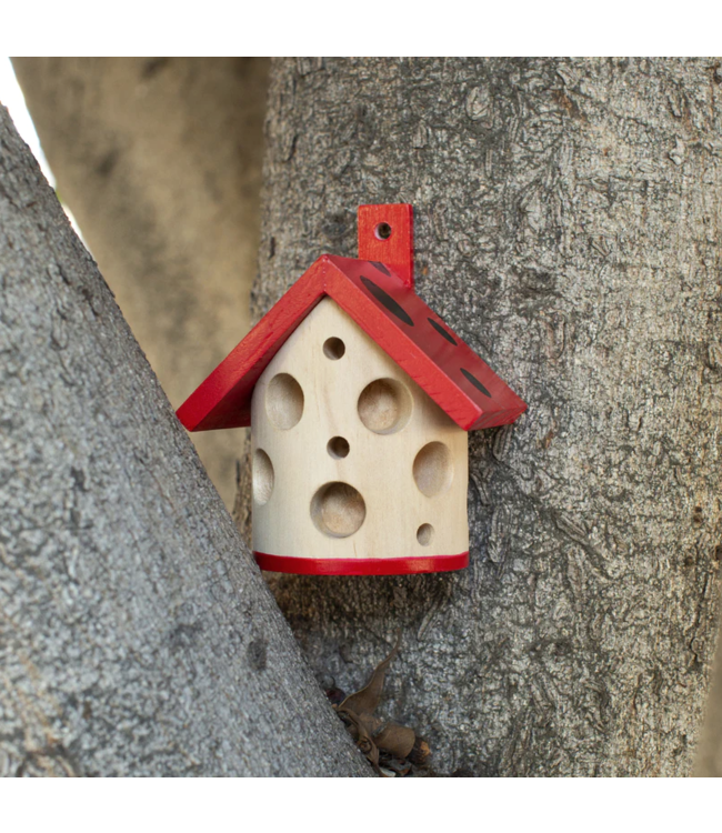 Kikkerland Ladybug House