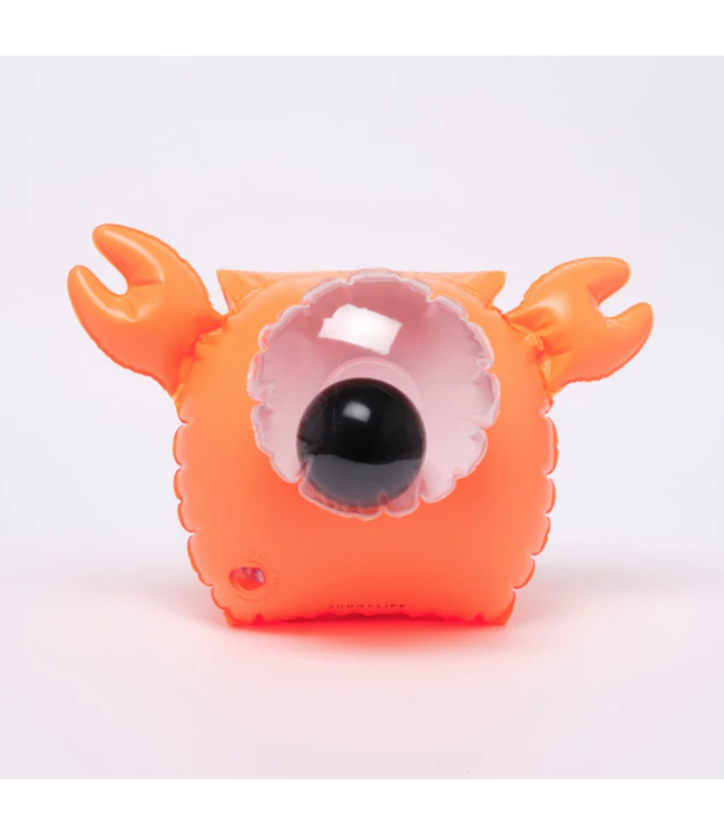 Sunnylife Buddy Float Bands - Sonny