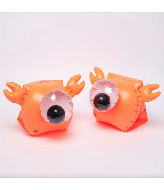 Sunnylife Buddy Float Bands - Sonny