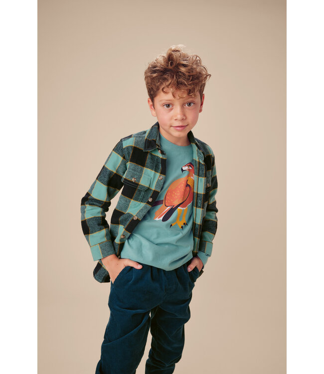 Tea Collection Hawk Graphic Tee