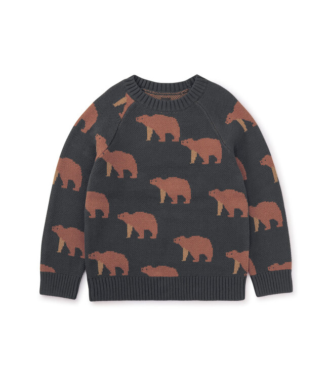 Tea Collection Brown Bears Sweater