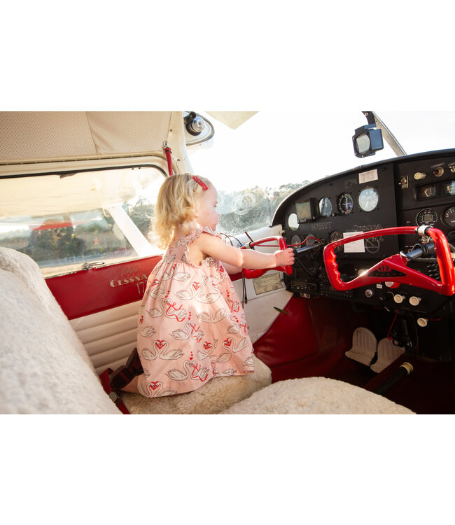 Pink Chicken Stevie Baby Dress - Swan Love