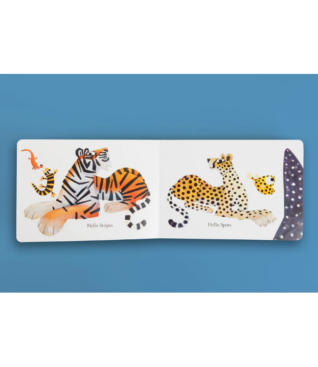 Hachette Hello Hello