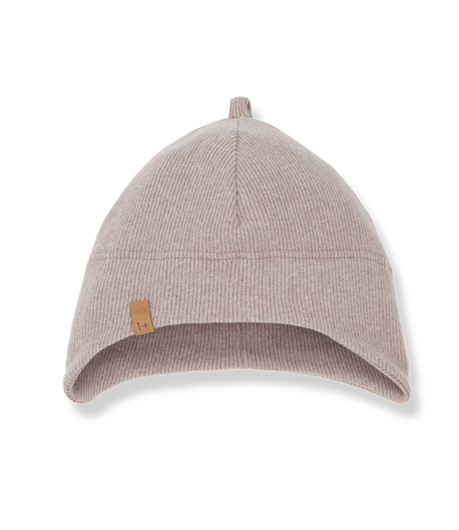 One More In The Family Aristol Beanie