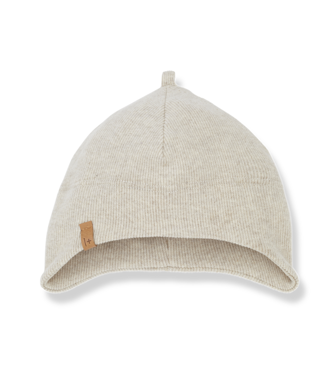 One More In The Family Aristol Beanie