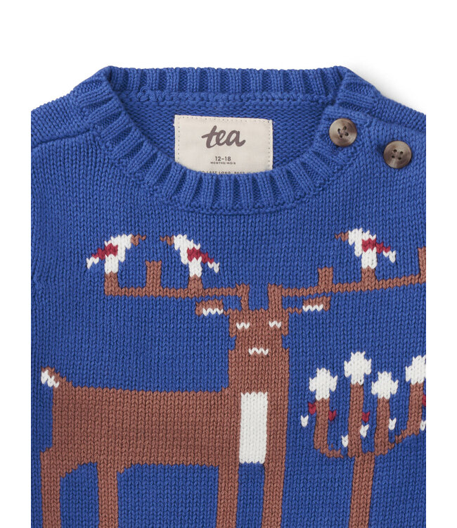 Tea Collection Reindeer Baby Sweater