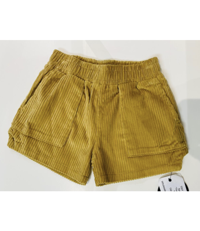 Tiny Whales The Dunes Dad Shorts