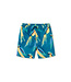 Tea Collection Mid-Length Swim Trunks