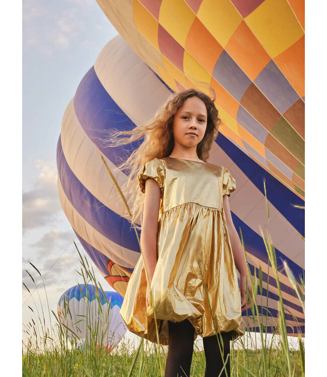 Tea Collection Balloon Skirted Dress - Metallic Gold