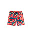 Tea Collection Mid-Length Swim Trunks - Wiggly Watermelons