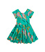 Tea Collection Button Back Skirted Dress - Lilac Breasted Roller
