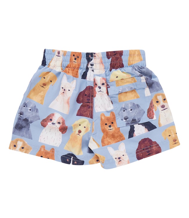 Pink Chicken Baby Swim Trunks