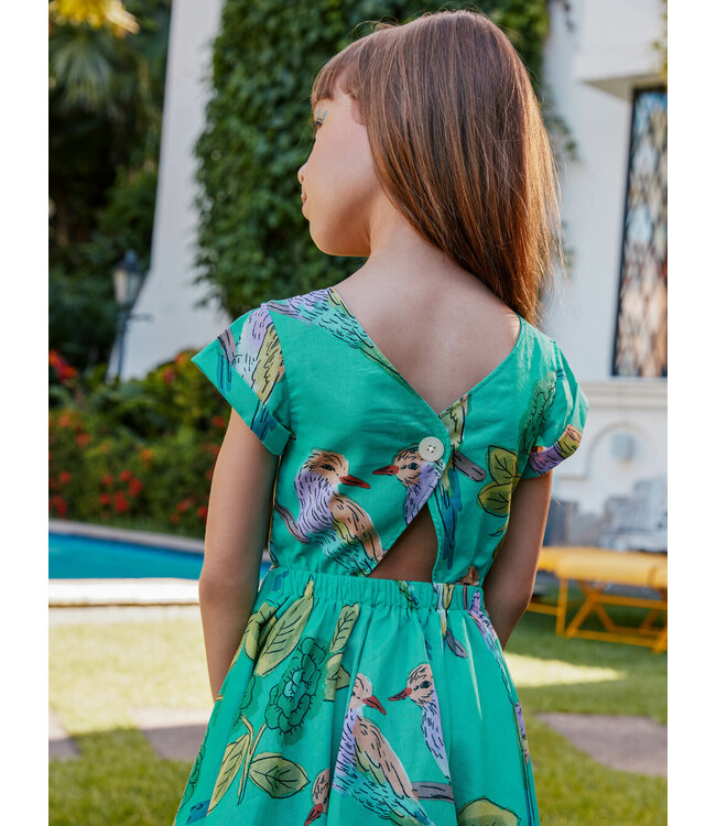 Tea Collection Button Back Skirted Dress - Lilac Breasted Roller