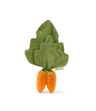 Oli & Carol Cathy the Carrot Mini Doudou Teether