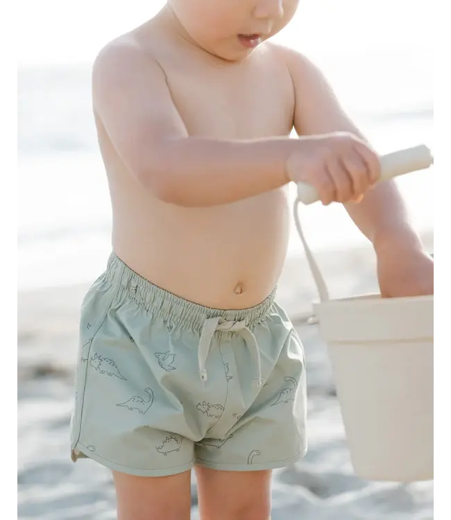 Quincy Mae Swim Short - Dino