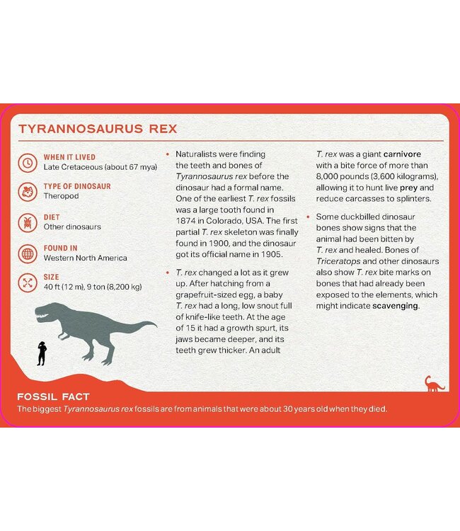 Penguin Random House The Dinosaur Deck