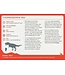 Penguin Random House The Dinosaur Deck