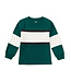 Tea Collection Colorblock Rugby Top - Jade