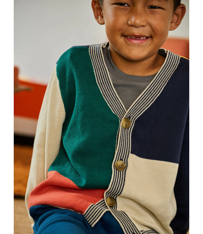 Tea Collection Colorblock Sweater Cardigan