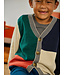 Tea Collection Colorblock Sweater Cardigan