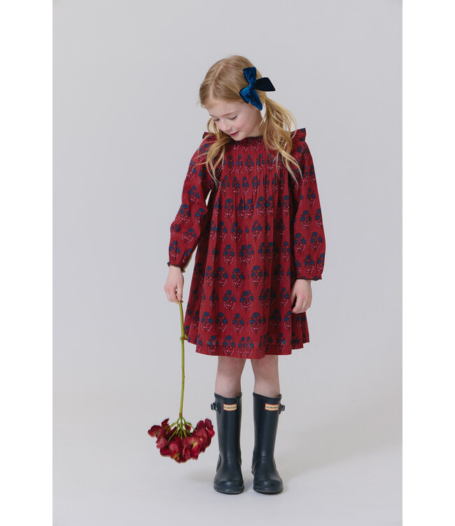 Pink Chicken Jaipur Dress - Red Autumn Strawflower