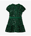 Hatley Green Sequins Velvet Dress
