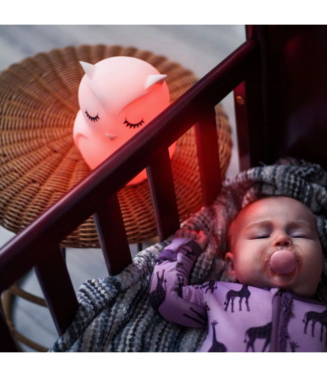 LumieWorld Lumipets® Led Owl Night Light with Remote