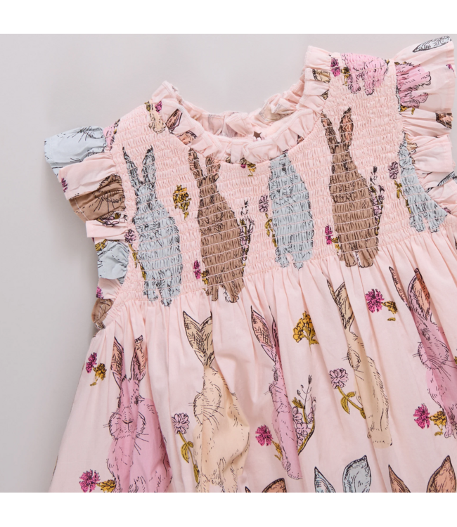 Pink Chicken Baby Stevie Dress- Vintage Bunnies