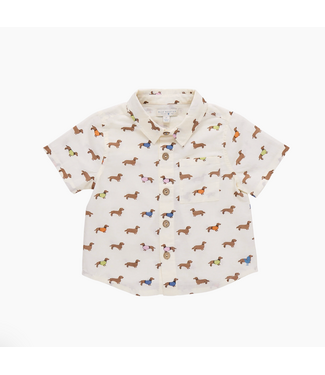 Pink Chicken Baby Jack Shirt - Dachshunds In Sweaters