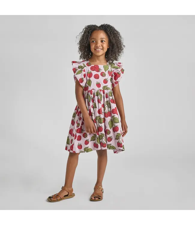 Pink Chicken Elsie Dress - Lavender Raspberries
