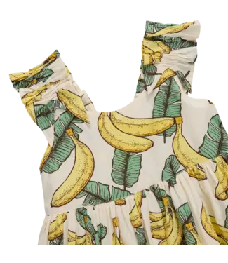 Pink Chicken Via Dress - Banana Leaves