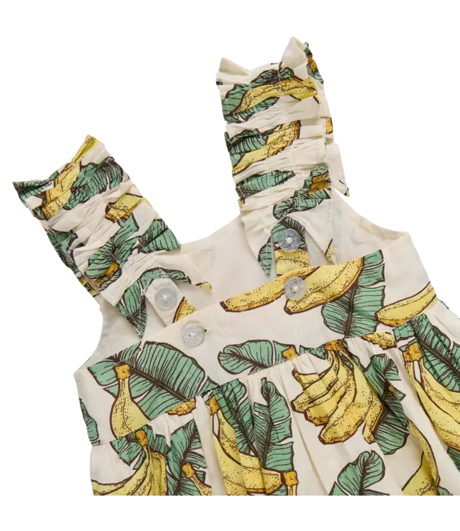 Pink Chicken Via Dress - Banana Leaves