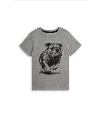 Appaman Graphic Short Sleeve - Grey Heather