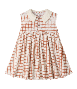 Rylee & Cru Collared Babydoll Dress - Cherry Check