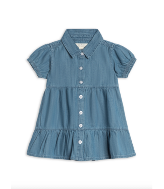 Colored Organics Milly Chambray Shirt Dress