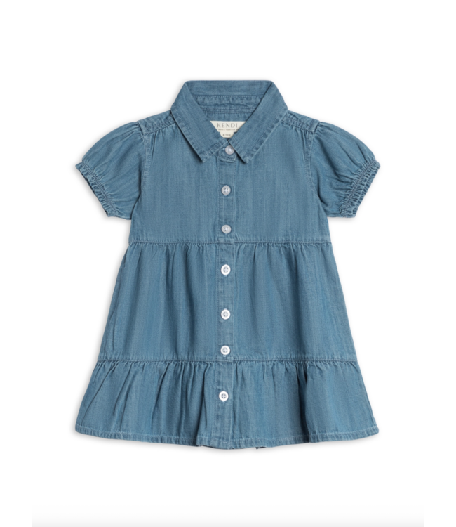 Colored Organics Milly Chambray Shirt Dress