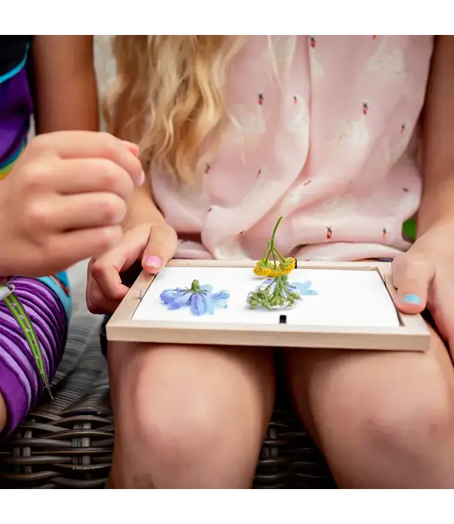 Kikkerland Huckleberry: Make Your Own Pressed Flower Frame Art