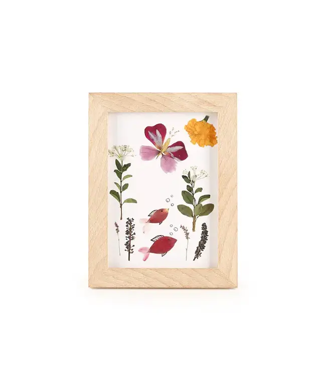 Kikkerland Huckleberry: Make Your Own Pressed Flower Frame Art
