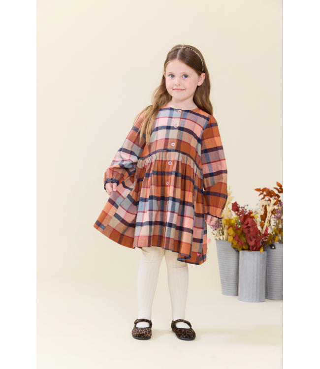 Pink Chicken Mae Dress - Hayride Plaid