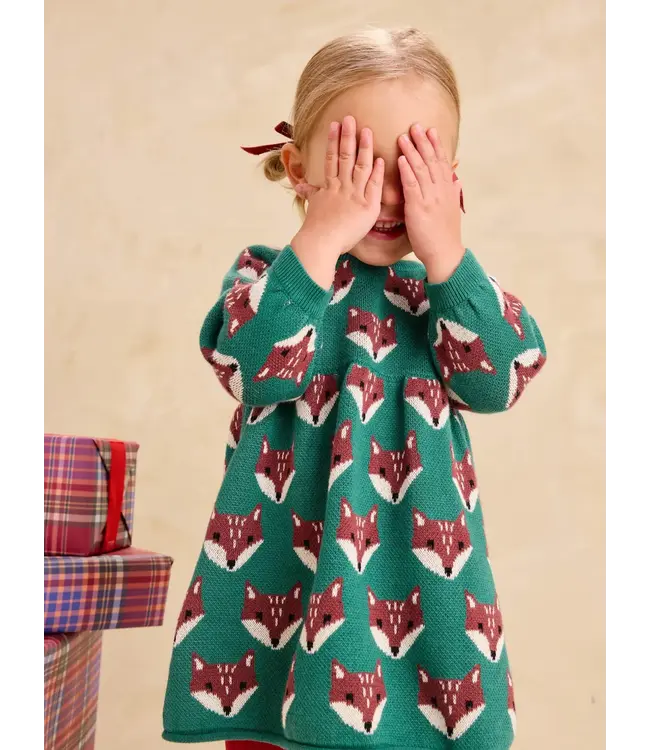 Tea Collection Baby Family Fox Sweater Dress