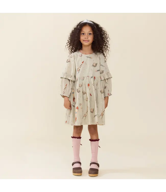 Pink Chicken Magnolia Dress - Space Rocket