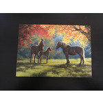 Imagimex Greeting Cards Horse Family