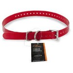 SportDog Red Collar 1.9cm x 71cm