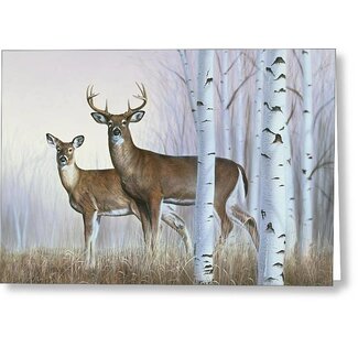 Imagimex Greeting Cards - Buck and Doe